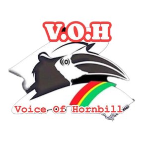 ဇိုမီးများ၏ ပွဲတော်များနှင့် သိကောင်းစရာ