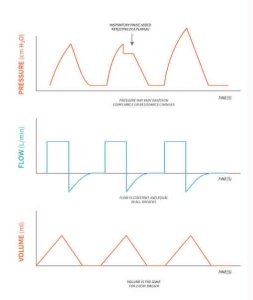 ACMV_Volume_1_ကောင်းထက်ညွှန့်
