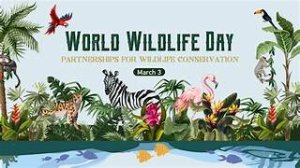 World Wildlife Day