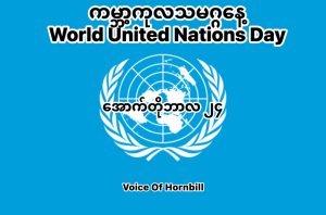 WORLD UNITED NATIONS DAY