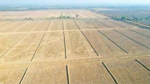 မြေယာ ပိုင်ဆိုင် လုပ်ကိုင်ခွင့်