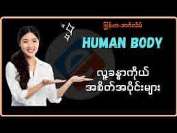 လူ့ခန္ဓာ အစိတ်အပိုင်းများ